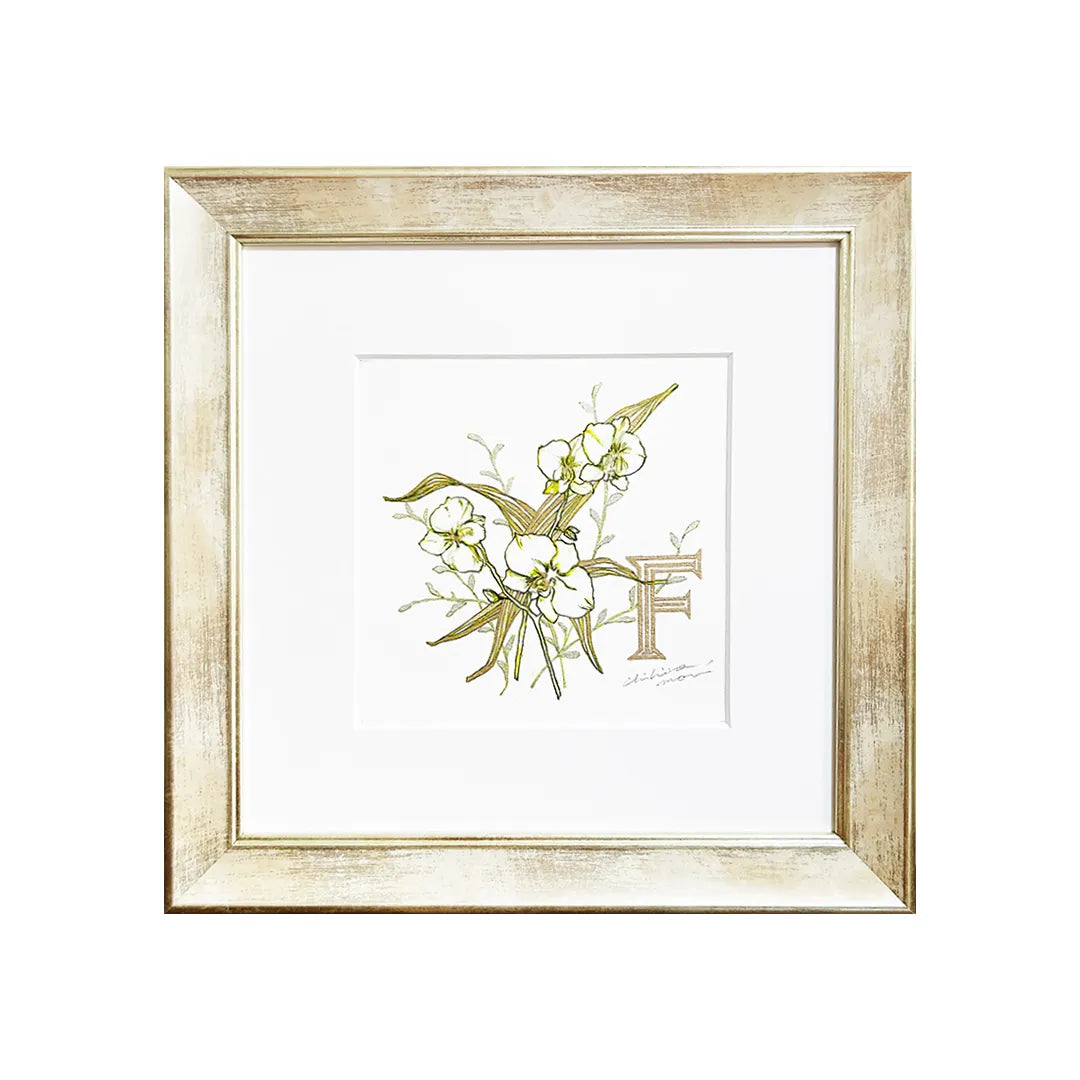 FP‐Line【 胡蝶蘭 Happiness comes flying】