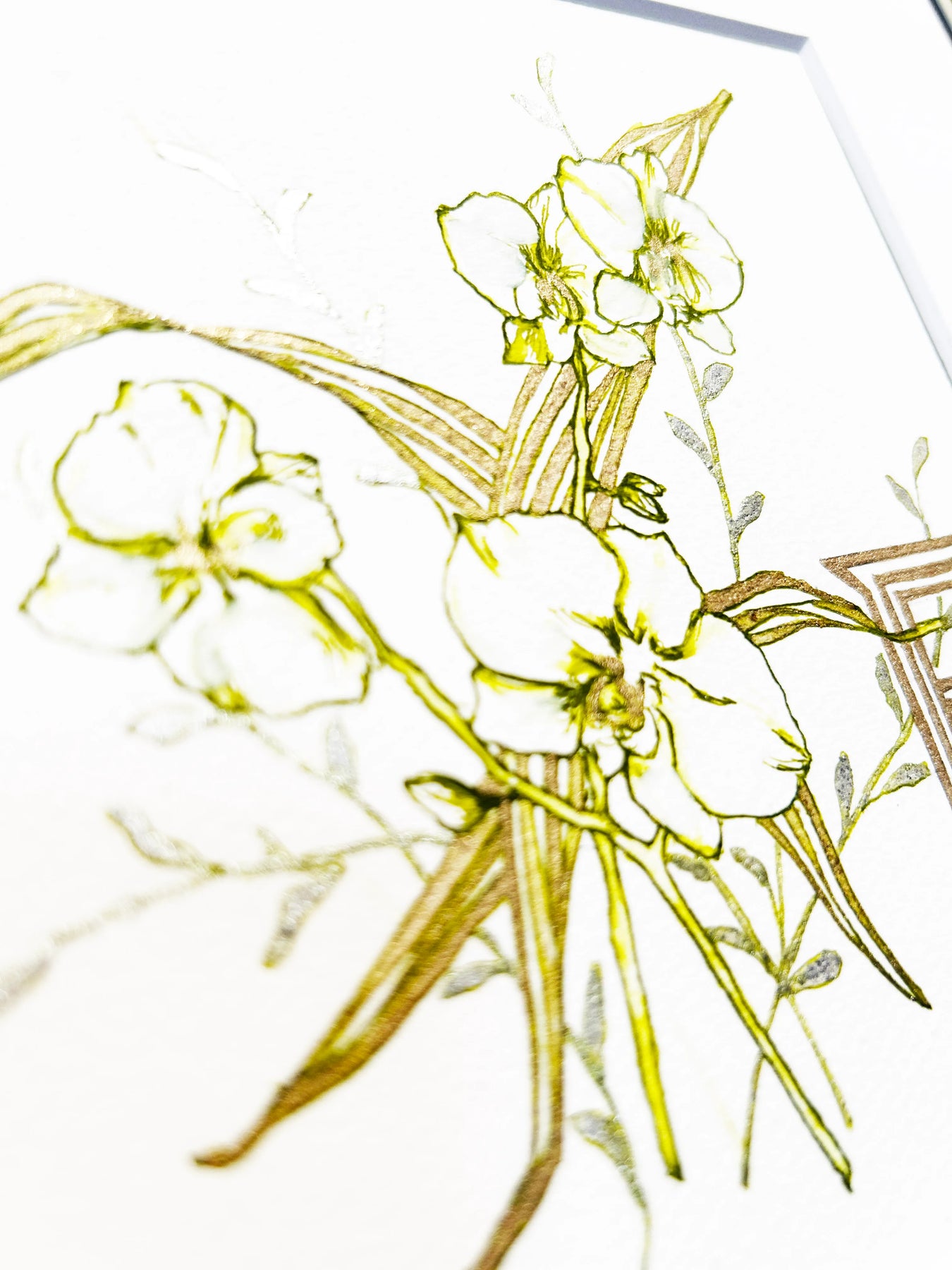 FP‐Line【 胡蝶蘭　Happiness comes flying】